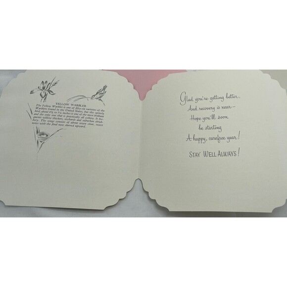 5 VINTAGE QUALITY CREST BEAUTIFUL BIRDS SCENES GREETING CARDS UNUSED ENVLEOPES - Picture 8 of 13